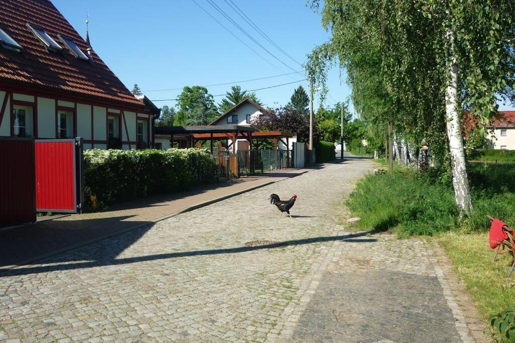 Erpelhaus Apartamento Utzberg Exterior foto